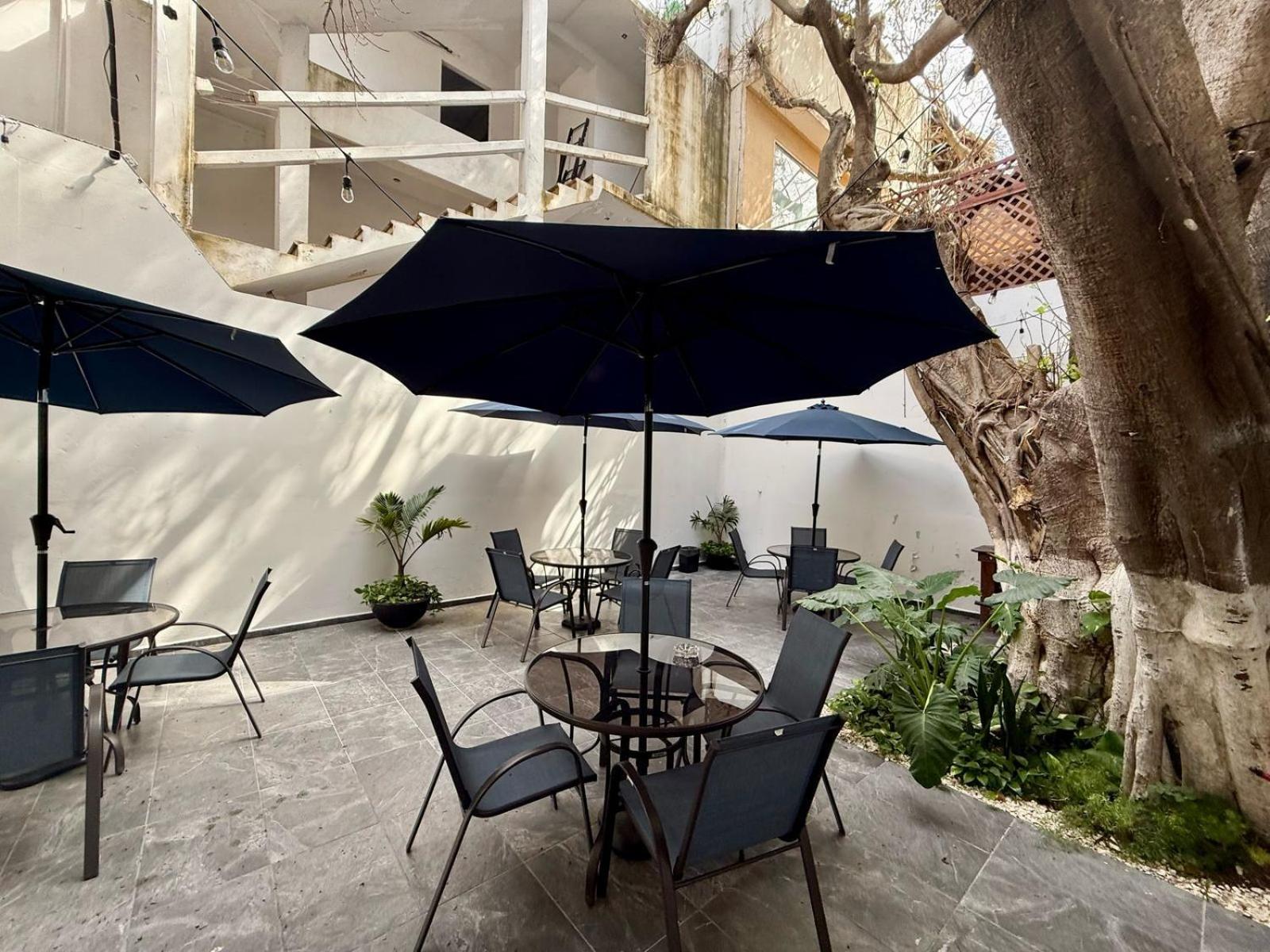 Casa Tortuga 5Th Ave Hotel Playa del Carmen Kültér fotó